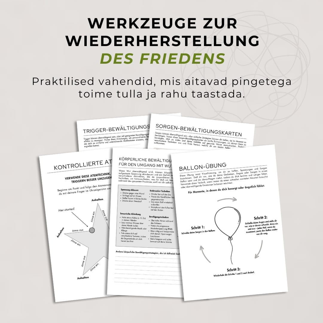 Trauma- und PTSD-Arbeitsbuch